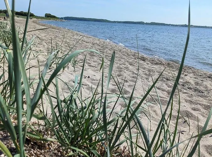 Fruehlingsbogen * Harrislee